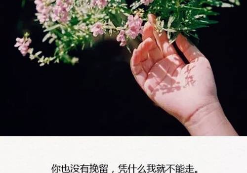 关于赞美女的诗句