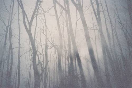 关于女人的诗句