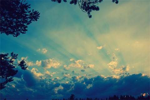 用古诗秋思编一个故事