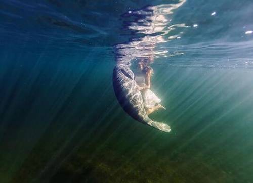 有关霸王别姬的古诗
