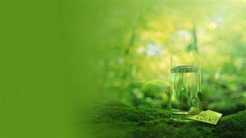 关于年华的诗句