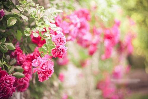 古诗中含有梓辛的诗句