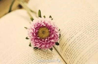 ʵ�������ʫ��