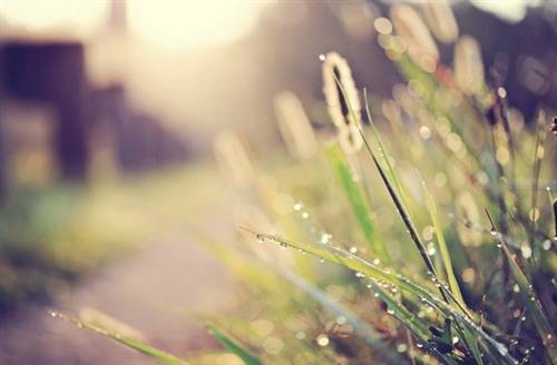 关于琵琶的古诗词