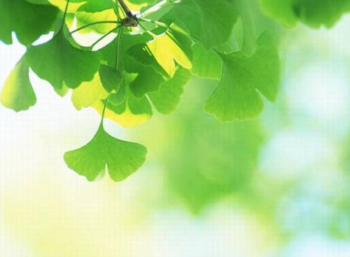 男耕女织的古诗词