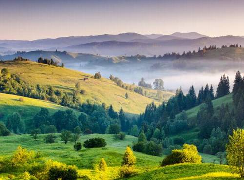 新版七下古诗全集