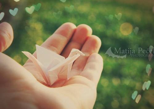 天坛著名景点导游词