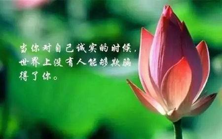 三峡简易导游词