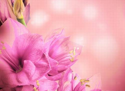 离别或思念的古诗词