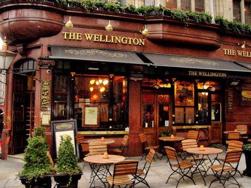 赞美植物的诗句