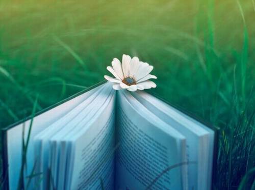 在外漂泊的诗句