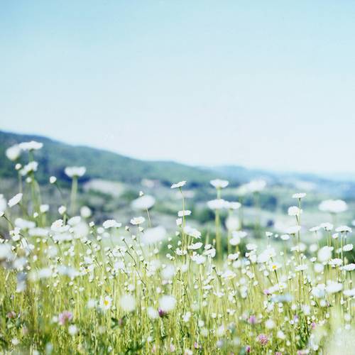 形容失意的诗句