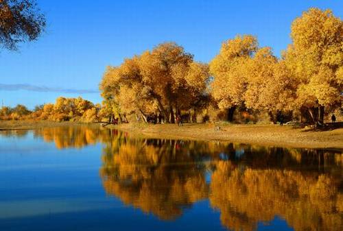 关于体育运动的古诗