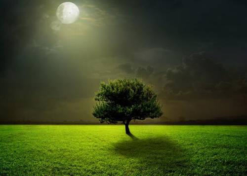 蒙曼讲古诗词讲稿