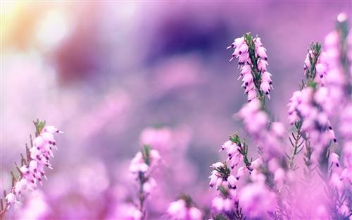 水晶饰品导游词