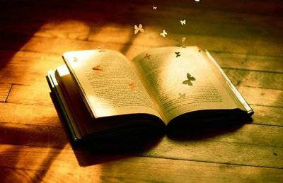 古诗蜂教学设计