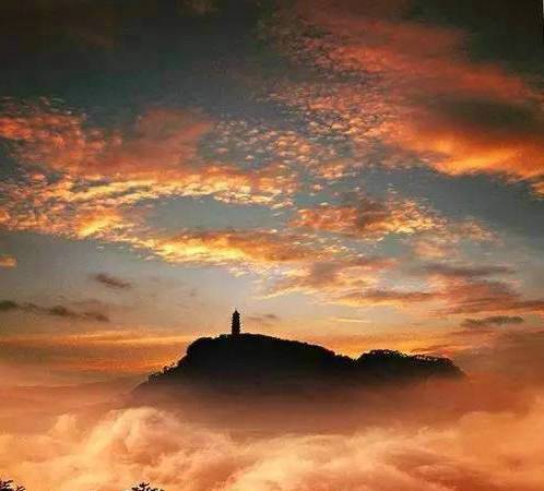 紫金山春韵的古诗