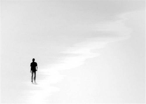 古诗南乡子的诗句