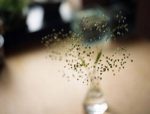 龙潭公园的导游词