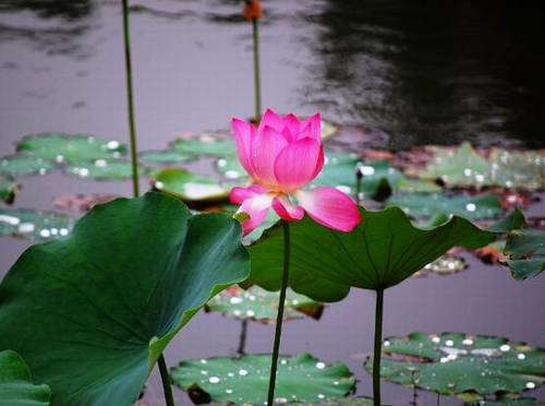 西安阎良导游词