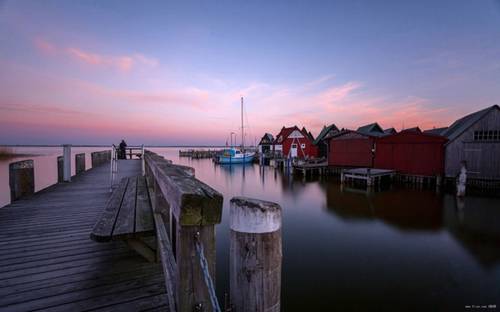 一棵树广场导游词
