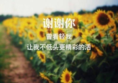 扬州宋宋夹城导游词