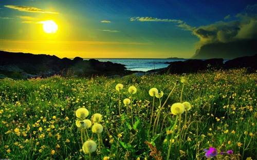 古诗文中的词语