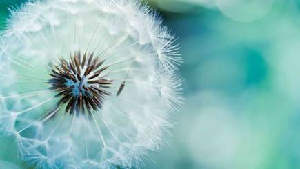 古诗人间重晚情的作品