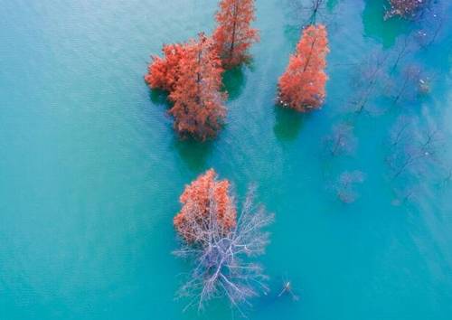 凤凰城导游词一百字