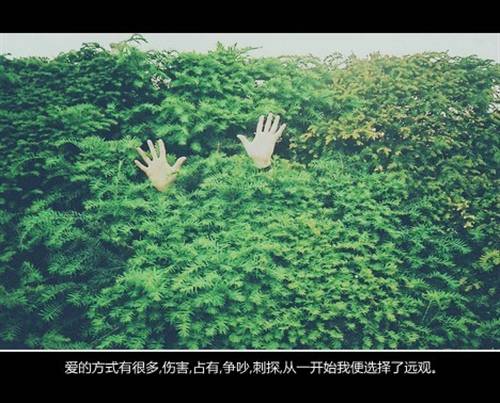 鱼香肉丝导游词