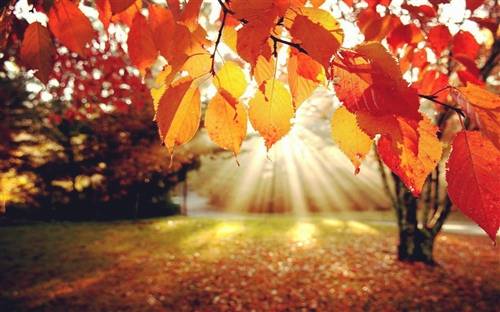 舞动课堂古诗词