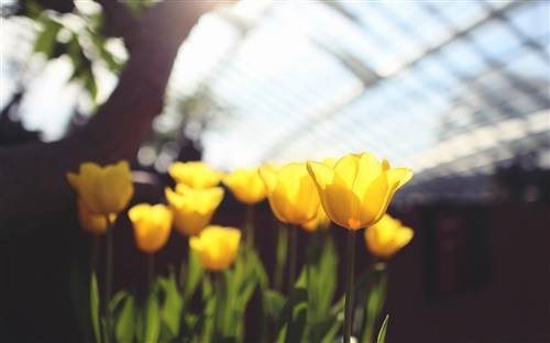 做笔记的诗句古诗