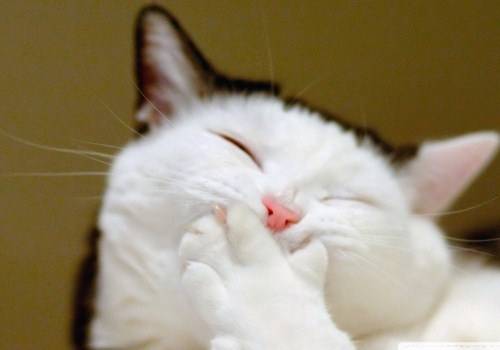 古诗词中取名字