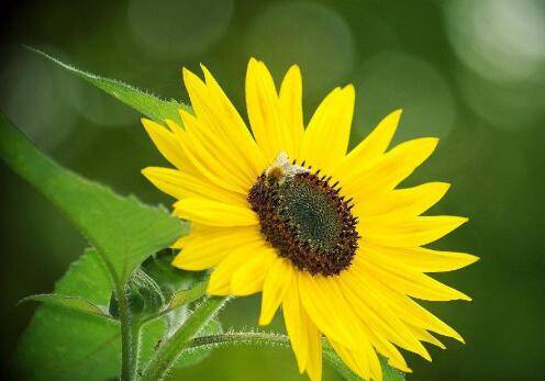 参加古诗词选手介绍