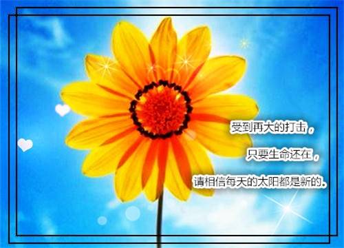 章草古诗书法作品欣赏