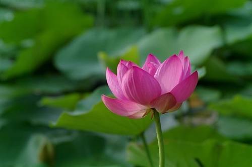 繁体古诗句霸气的