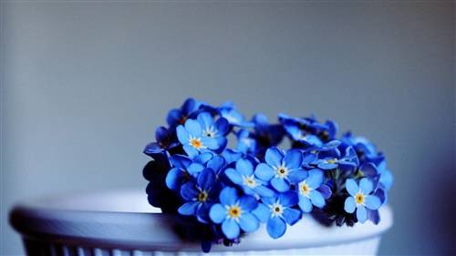 关于牛古诗自创