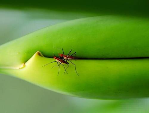 空等一场的古诗词