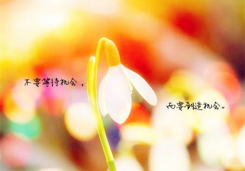 古诗同州端午节