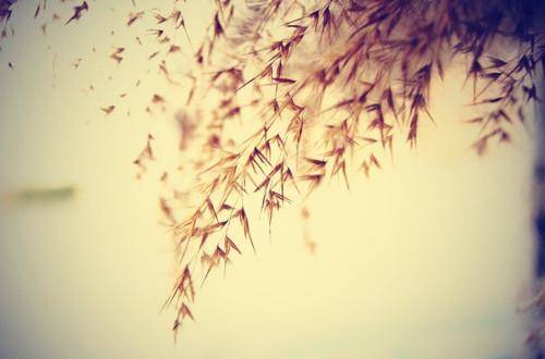 语文九年级下册古诗