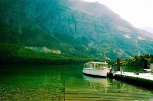 用古诗表达真情