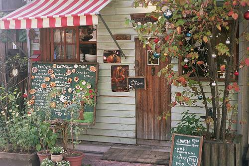 古诗中菊花的意象总结