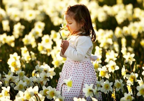 元宵节的古诗唐朝