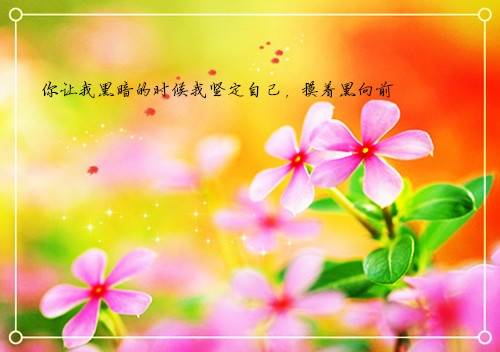 描述英俊的古诗