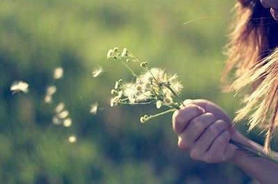 形容聪明的古诗词