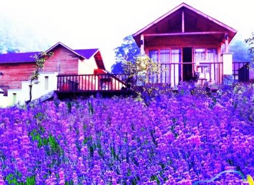 小学生春夏秋冬的古诗