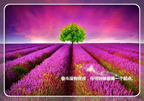 带导游词的长城介绍