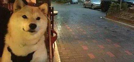 象字开头的古诗