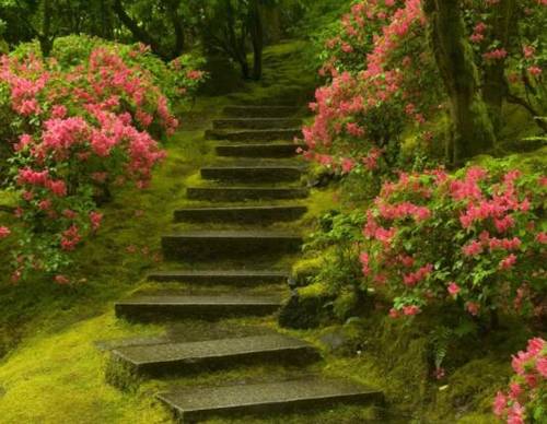 胜溪湖的导游词