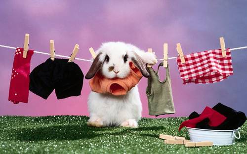 古诗祝人好运的诗句